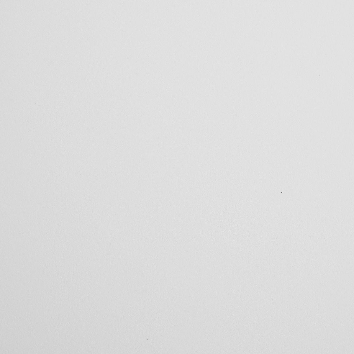 Solid light gray color swatch