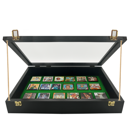 Trade Show Display Case - Small - 18 x 22 x 4"