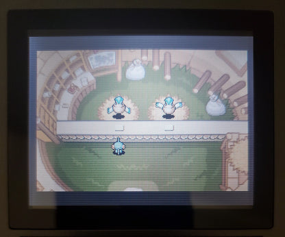 Pokemon Mystery Dungeon Red Rescue GBA ROM Hack Video Game Boy Advance